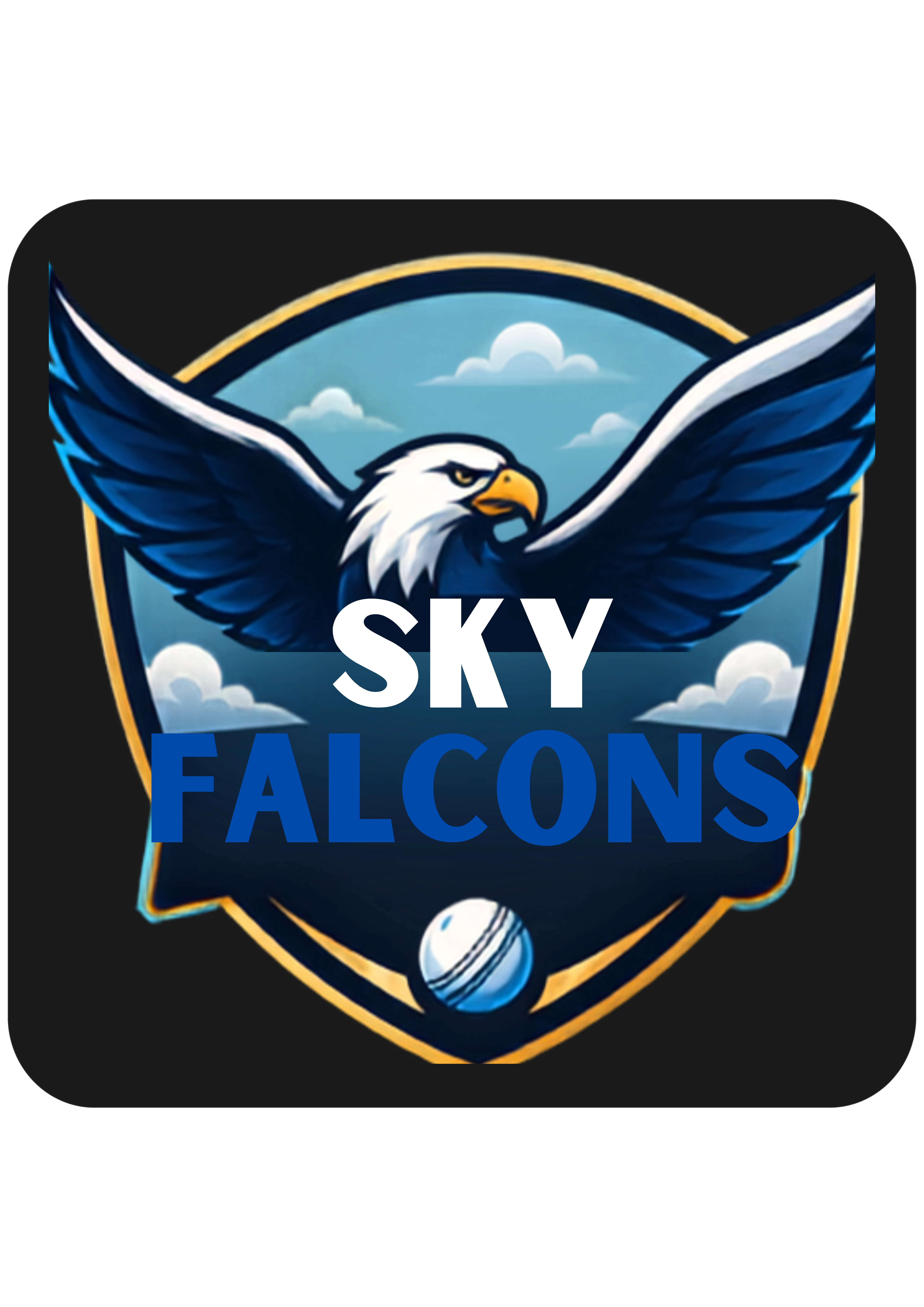 Sky Falcons